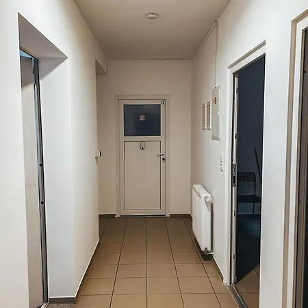 Dornfelder 2